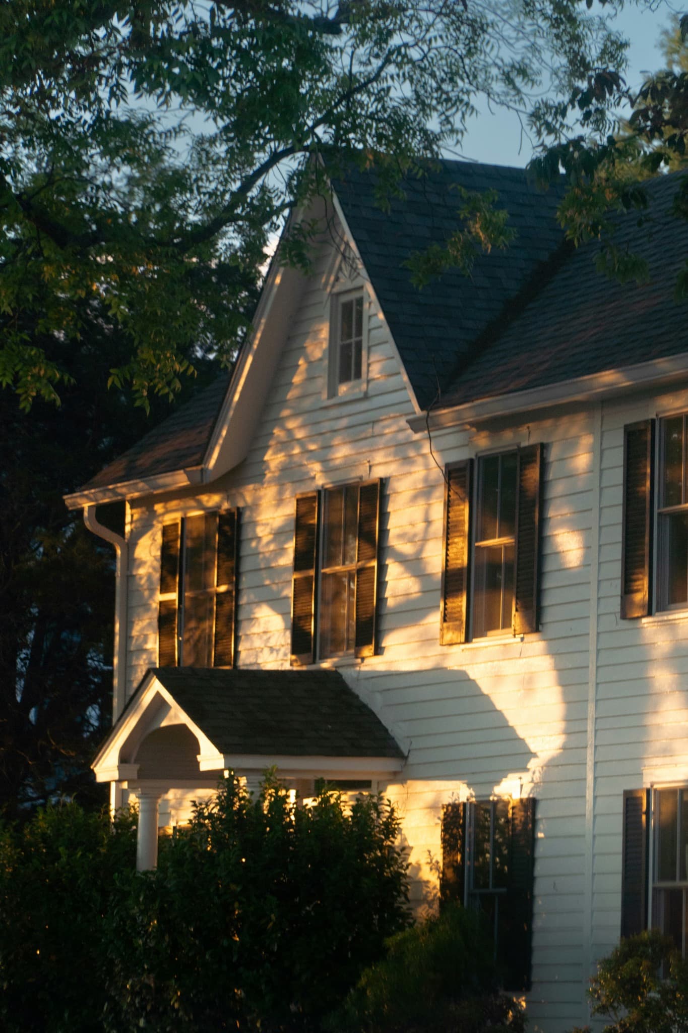 Traditional home partially framed by mature trees in warm evening light